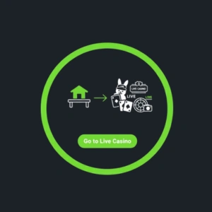 Icona di SlotBunny Casino per accedere ai giochi live, con una casa stilizzata e grafiche del casinò live.